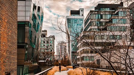 shutterstock_1804106131