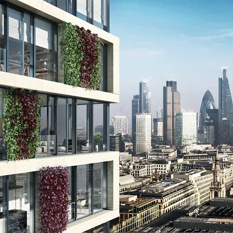 Schüco Façade System AF UDC 80 Green Façade