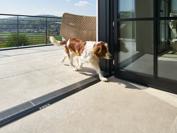 Edertal_Fenstertür-offen-Nullschwelle-Hunde_100_176298