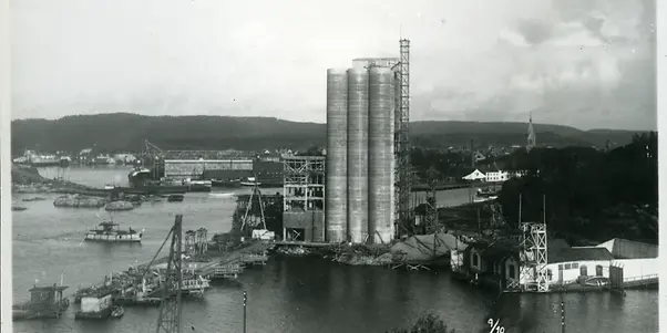 DEMO Bild | Description Alterantive-Text