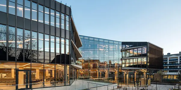 Kräne mit Metallschrottberg