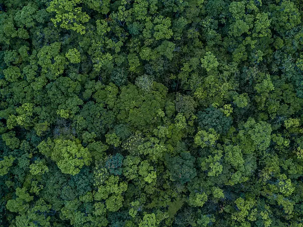 shutterstock_639949456