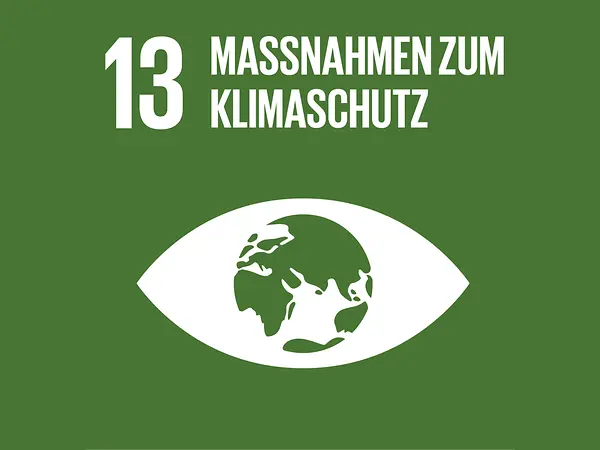 sdg13