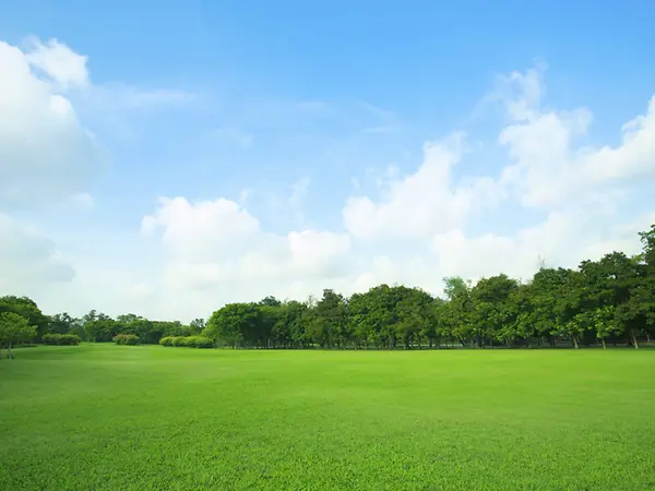 shutterstock_273643241